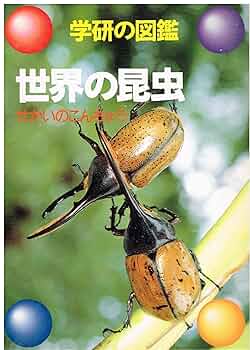 昆虫博士 あなたは昆虫博士 *800 | Foresight Magic STORE